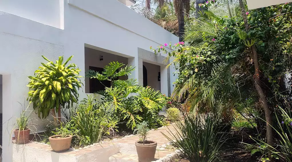 VENTA CASA MUY CERCA DEL CENTRO SOBRE CALLE PRINCIPAL PRÁCTICAMENTE DE UN NIVEL