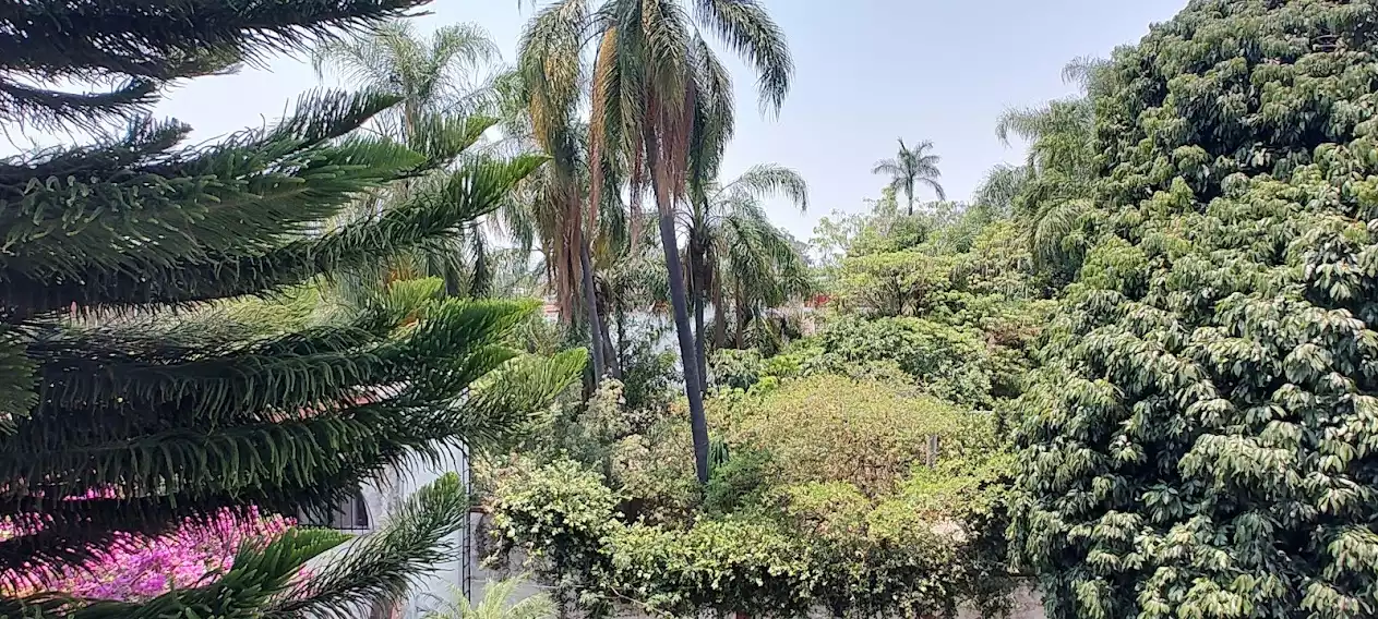 VENTA CASA MUY CERCA DEL CENTRO SOBRE CALLE PRINCIPAL PRÁCTICAMENTE DE UN NIVEL