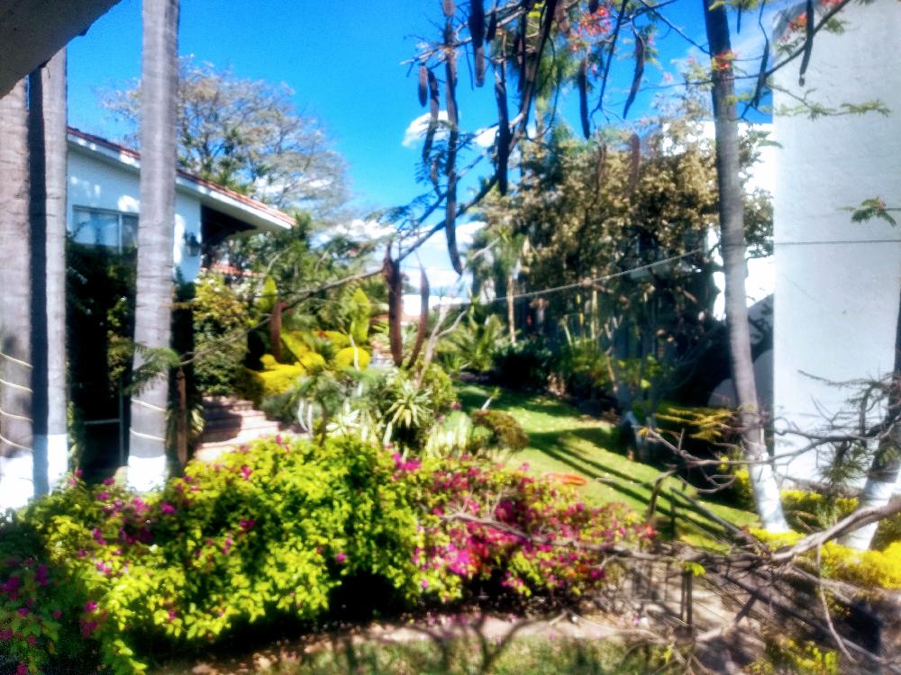 DELICIAS CUERNAVACA RENTA LOFT A UN PASO DE RÍO MAYO 