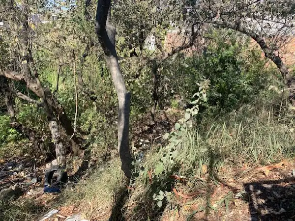 (Cco) Terreno en Pedregal de Las Fuentes $10,782,000