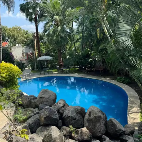 (CBP) LOFT TRIUMPH TOWER $ 3,150,000 RENTA $19,000