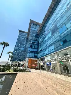 OFICINA EN RENTA EN CUERNAVACA MORELOS