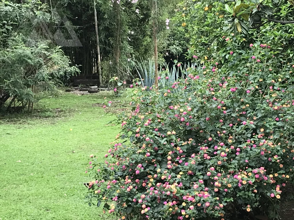 Casa Venta en Santa María Ahuacatitlán, Morelos