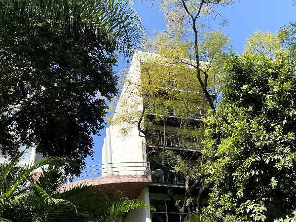 Departamento Renta La Ceiba, Centro Cuernavaca, Mor.