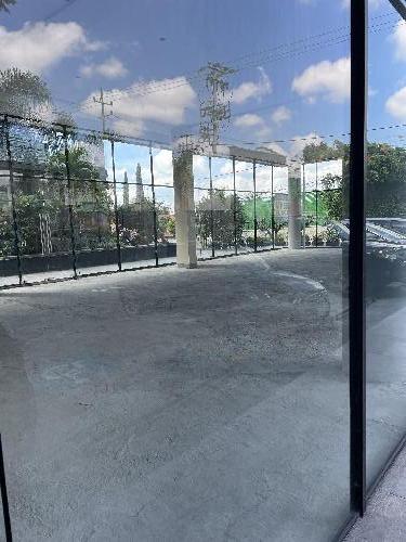 Locales comerciales en renta Col. Chapultepec