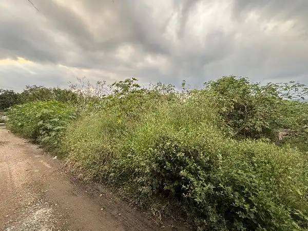 Terreno en venta en Yautepec
