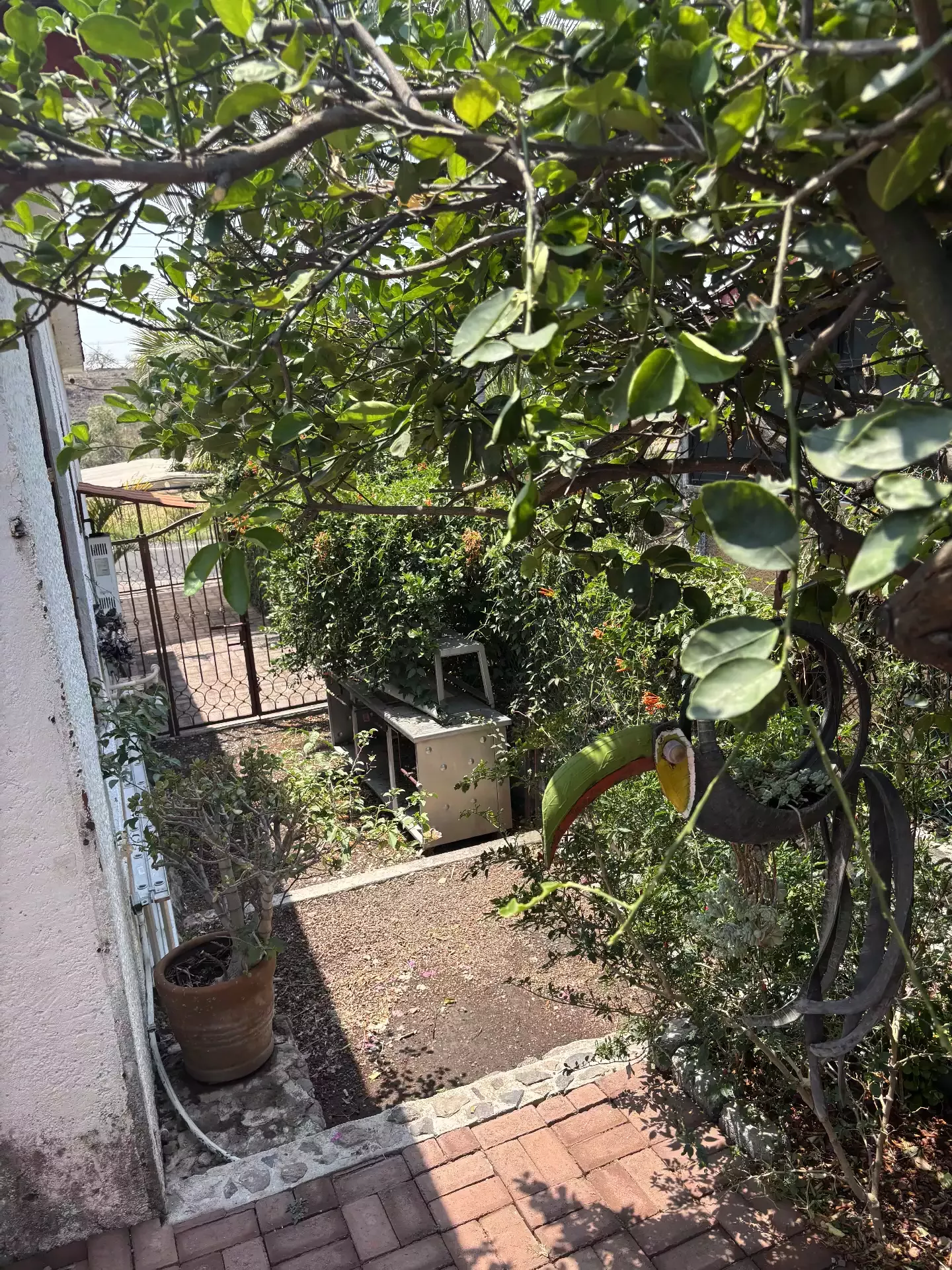 Lomas de Cocoyoc Casa en renta de univel