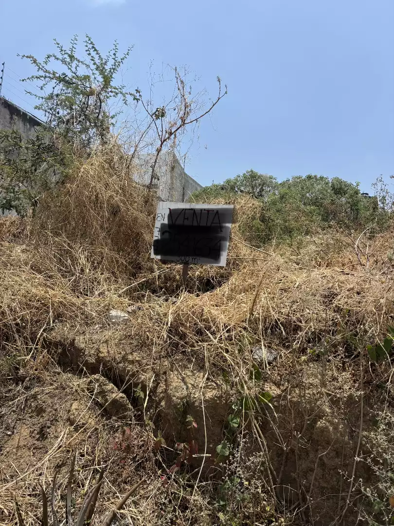 Terreno en venta Lomas tetela con Vigilancia