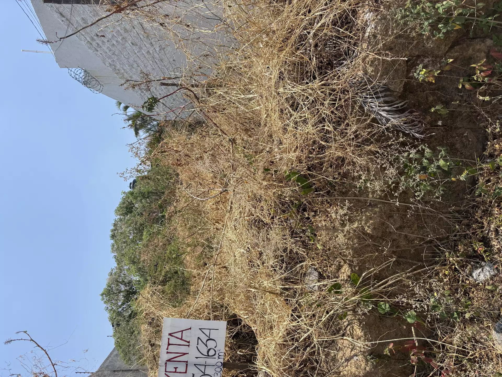 Terreno en venta Lomas tetela con Vigilancia