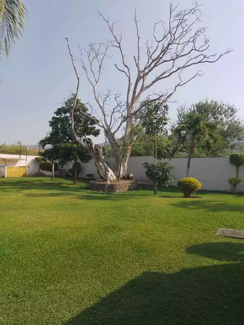 VENTA CASACON ALBERCA Y SEGURIDAD TEZOYUCA MORELOS